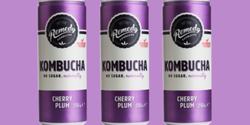 Is Remedy Kombucha Good For You?